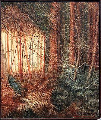 "W poszukiwaniu kwiata paproci" - wymiary 50x60