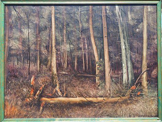 Obrazy olejne na płótnie z cyklu – lasy w brązach